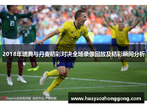 2018年瑞典与丹麦精彩对决全场录像回放及精彩瞬间分析